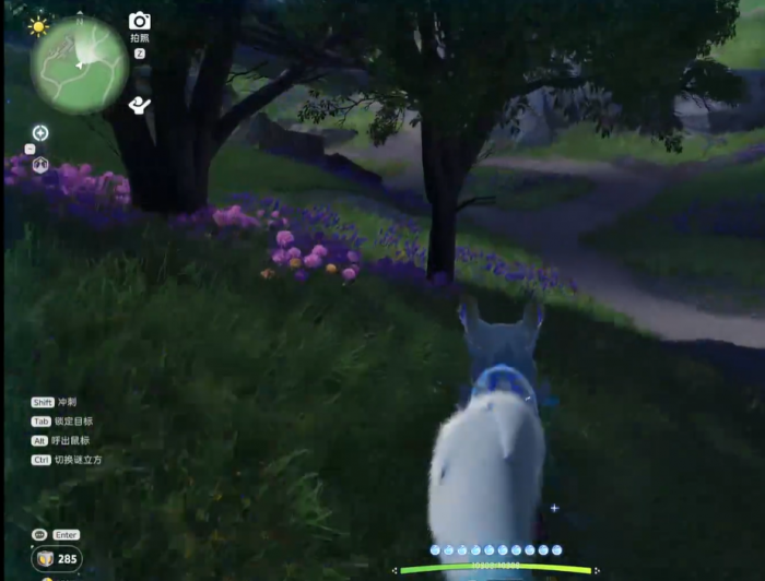 伊莫飘飘花在哪2