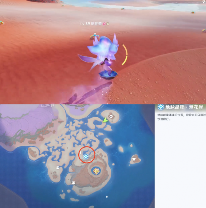 伊莫潮花岸收集攻略2