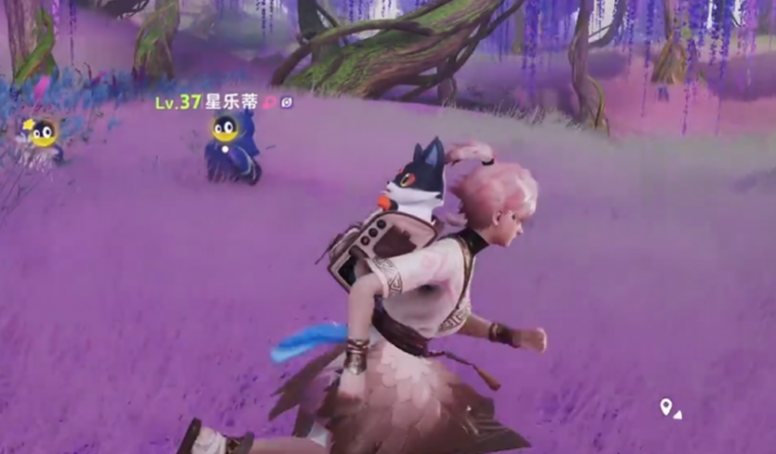 伊莫星落林介绍2