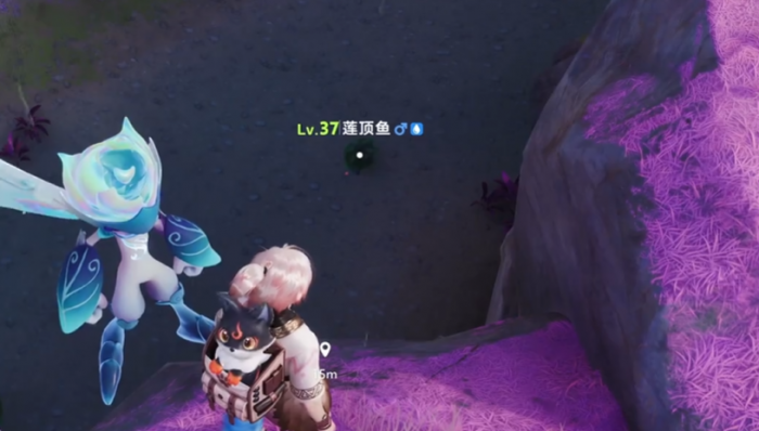 伊莫星落林介绍3