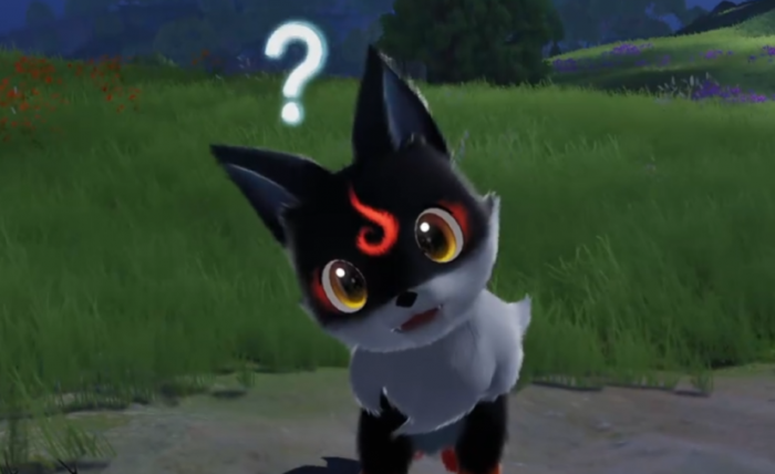 伊莫小炭犬介绍1