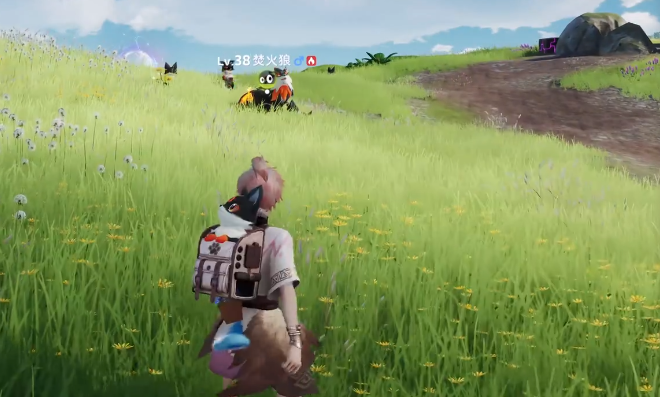 伊莫狼牙岭宠物有哪些1