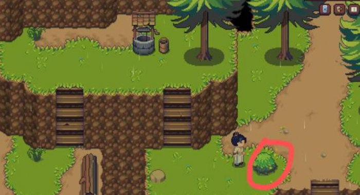 江城创业记野琴花采集方法3