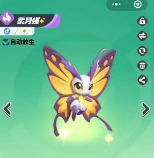 曙光重临平民最佳阵容怎么搭配3