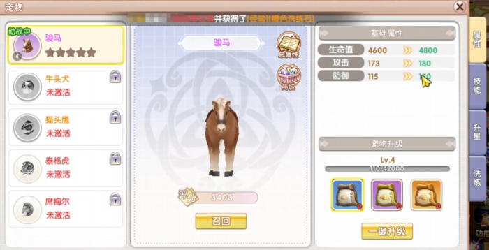 飞飞重逢宠物怎么养2