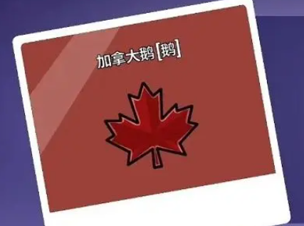 鹅鸭杀角色技能介绍3