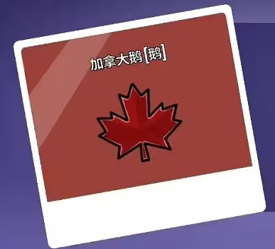 鹅鸭杀职业介绍10