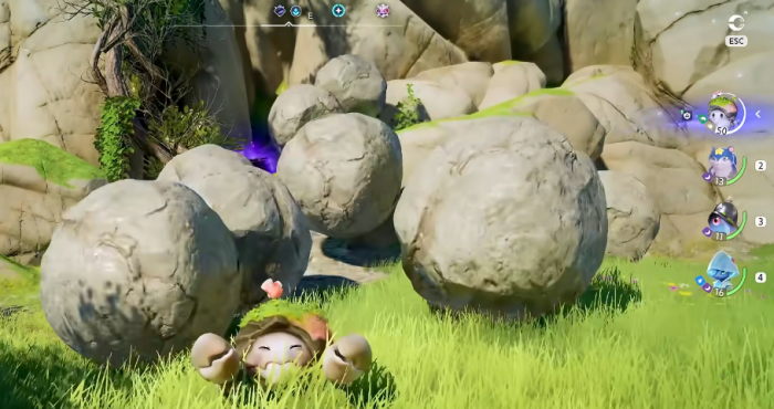 伊莫花芽蟹怎么抓2