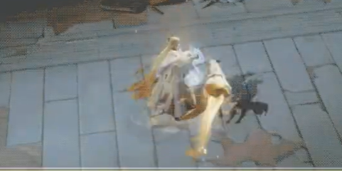 三国志幻想大陆2枭之歌袁绍介绍2