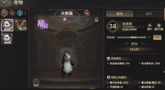 奇迹世界起源战士带什么宠物4