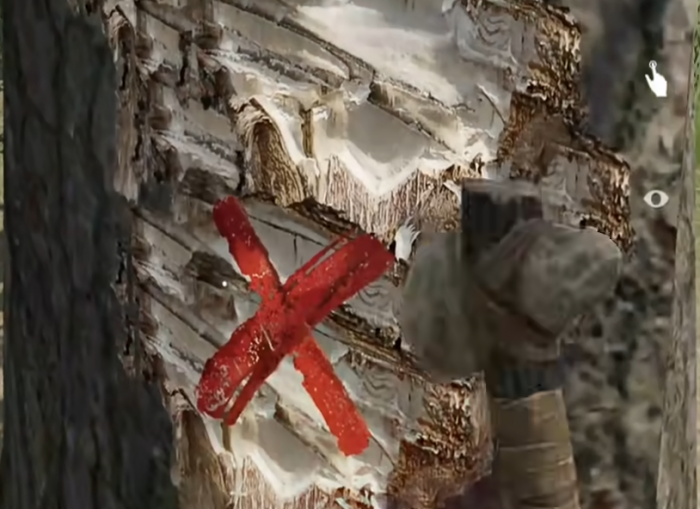 失控进化可以联机吗1