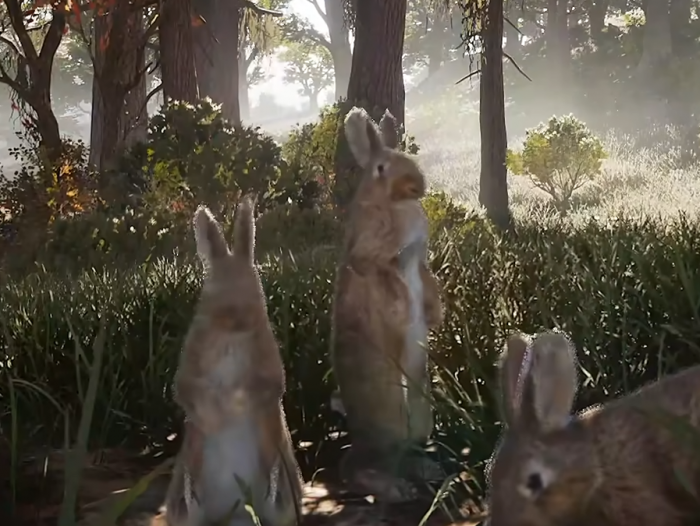 七日世界禁区介绍2