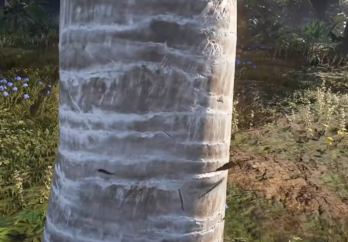 七日世界禁区介绍3