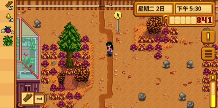 在别人家如何过夜星露谷物语攻略1