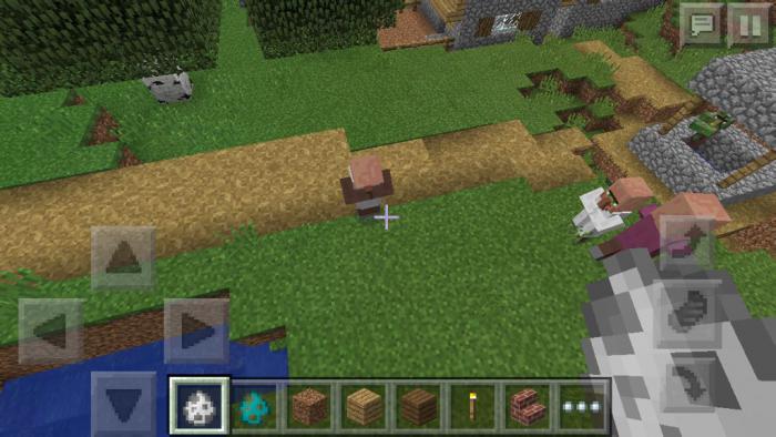 如何在我的世界中建造一个村庄1