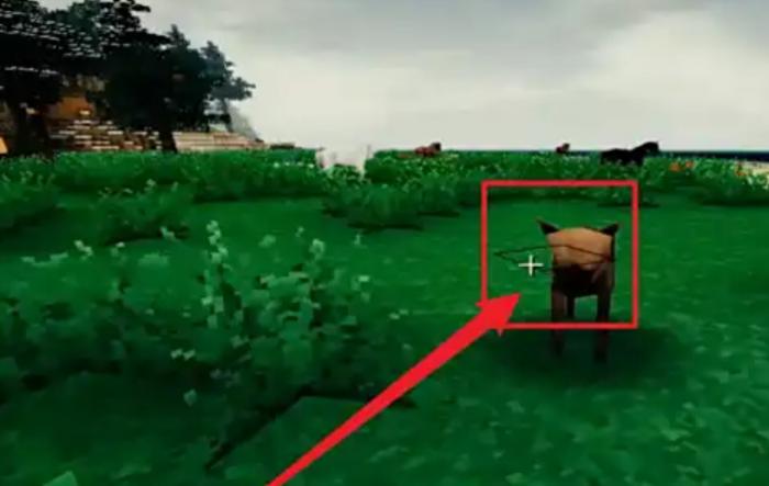 生存战争2怎么驯服狗2