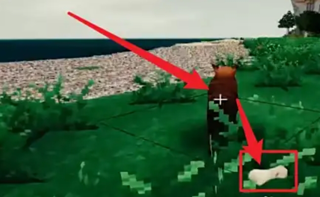 生存战争2怎么驯服狗3