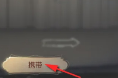 第五人格怎么携带宠物随从5