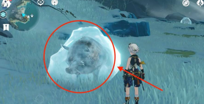 原神冷鲜肉在哪2