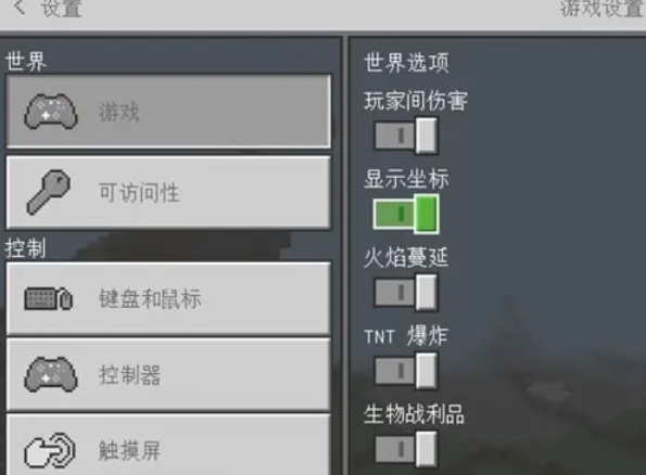 我的世界java版怎么显示坐标6