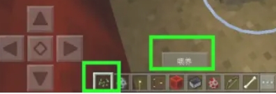 我的世界怎么养小鸡4