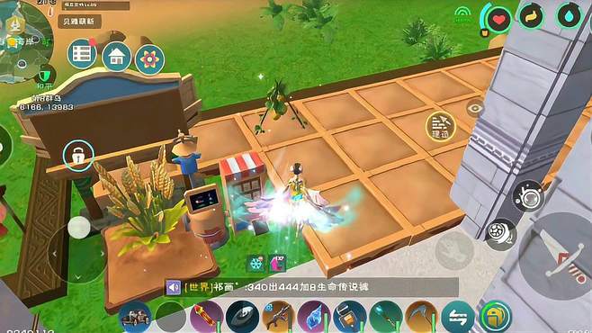 在哪个地点能够捕捉到创造与魔法云斑鹦鸟1