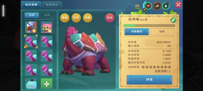 创造与魔法龟吃什么2