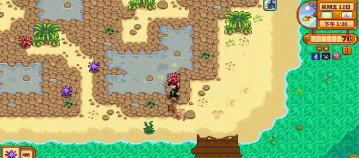 星露谷物语海滩右边的断桥怎么修3