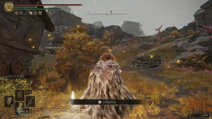 艾尔登法环前期有什么技巧3