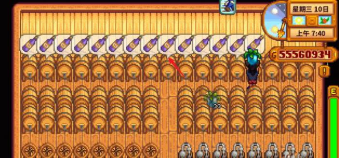 星露谷物语怎么赚大钱1