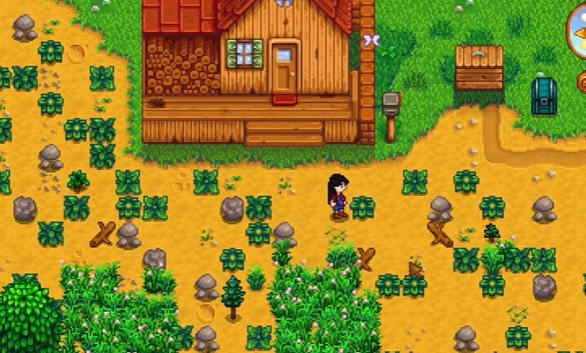 星露谷物语杂草的类型有哪些1