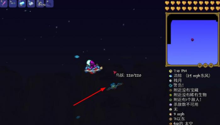 泰拉瑞亚鸟妖怎么打_泰拉瑞亚鸟妖鱼id