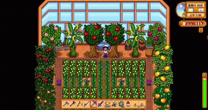 星露谷物语秋季种植有哪些方向_星露谷物语最新版本