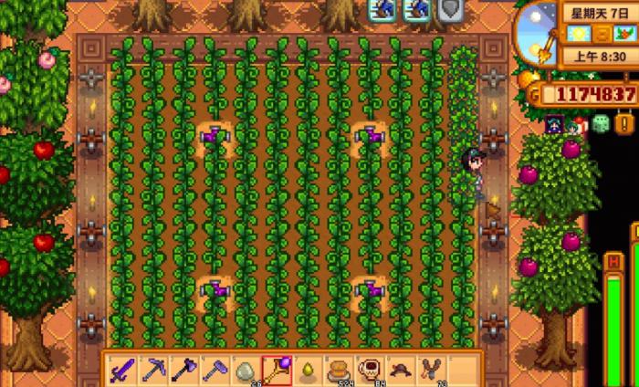 星露谷物语辣椒有哪些用途2