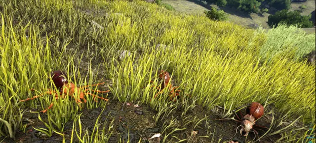 方舟生存进化巨型蚂蚁怎么打1