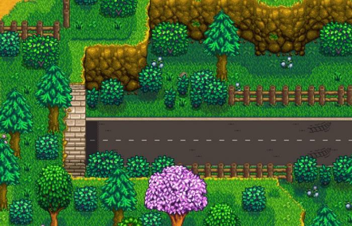 星露谷物语隧道有哪些用途1