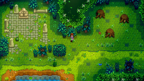 星露谷物语秘密森林可以获取哪些资源2