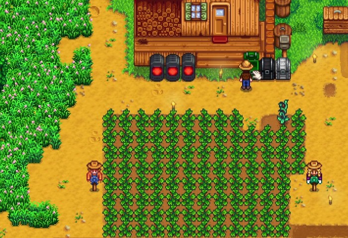 星露谷物语不同季节种什么收益最高1