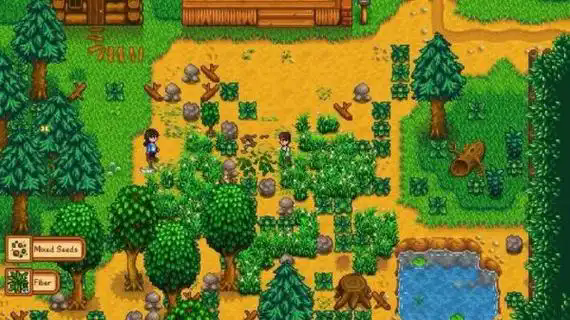 星露谷物语杂草有哪些小知识1