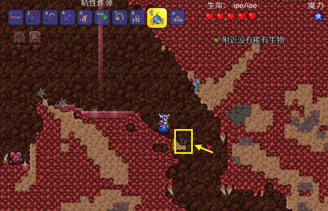 泰拉瑞亚草药怎么种植1