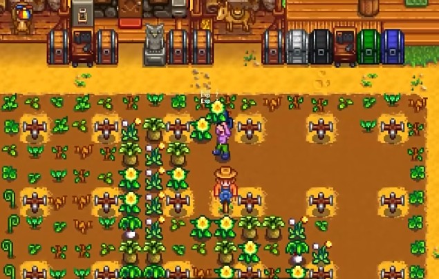 星露谷物语初期食物如何选择2