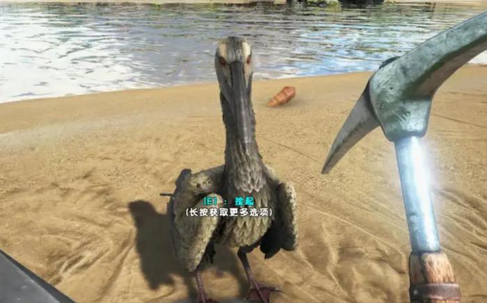 方舟生存进化鱼鸟特性是什么_方舟生存进化手游鱼鸟分布