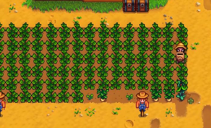 星露谷物语蒜有着什么样的作用1