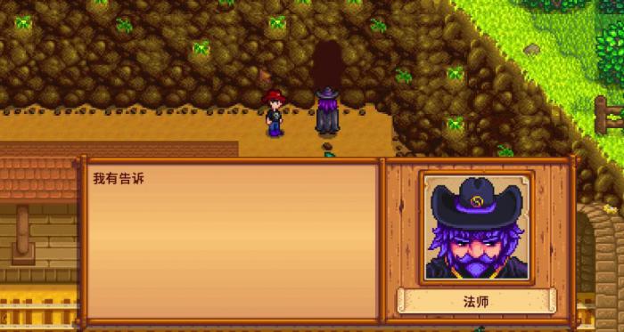 星露谷物语法师喜欢什么礼物1