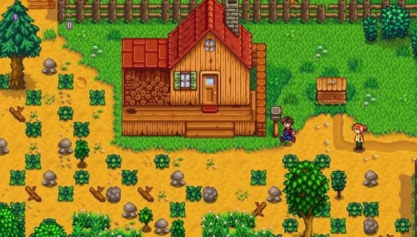 星露谷物语种植胡萝卜的收益怎么样_星露谷物语种植什么最赚钱