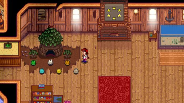 星露谷物语夏季能完成的收集包有哪些1