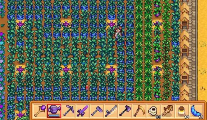 星露谷物语齐先生的作物怎么完成1