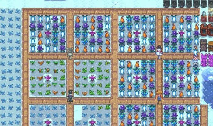 星露谷物语冬季可以种哪些作物2