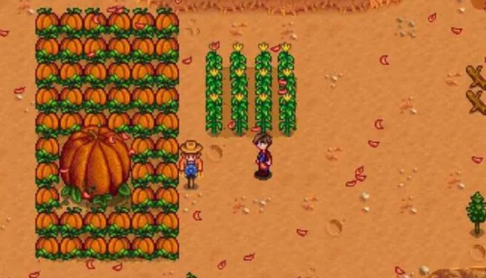 星露谷物语新手如何更快提升耕种等级3