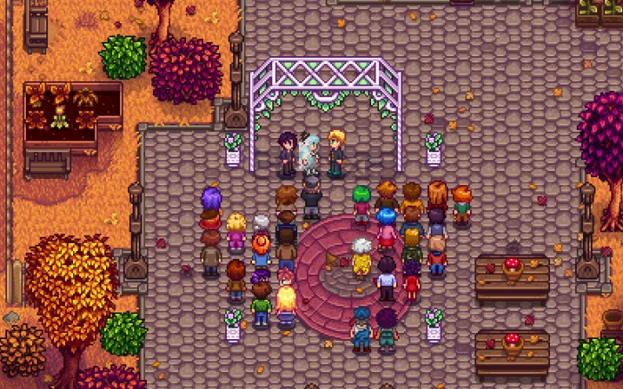 星露谷物语怎么和山姆结婚_星露谷物语和山姆结婚和家人关系对话